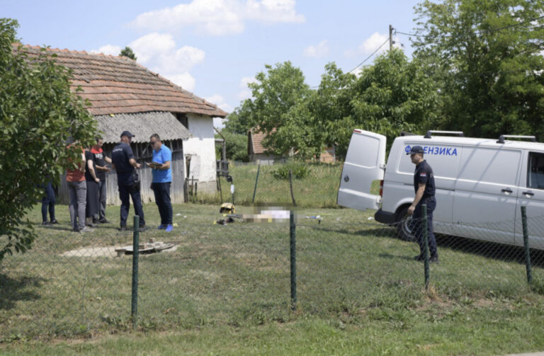 Došao da se pomire, pa je ubio dok je kosila travu