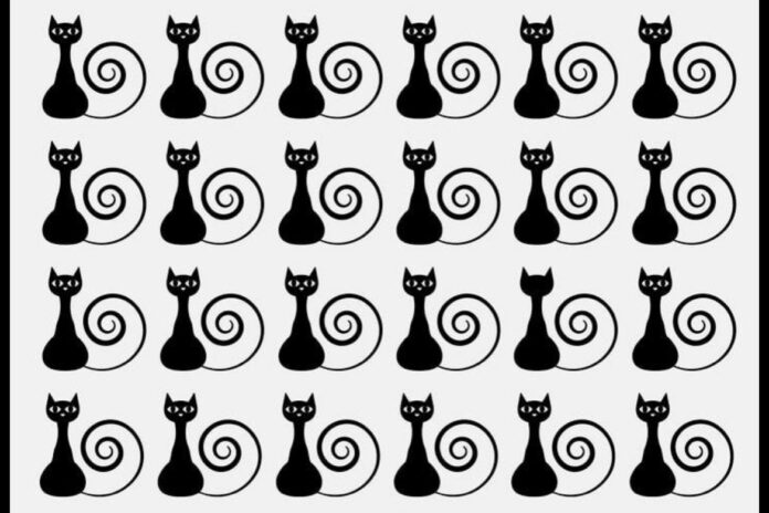 A48CEA2A-70BC-4D7B-B454-810E3B3BAFF4