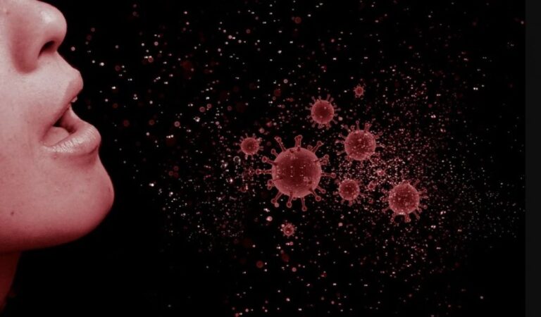 Zabilježen slučaj zaraze virusom koji izaziva smrtonosnu upalu mozga