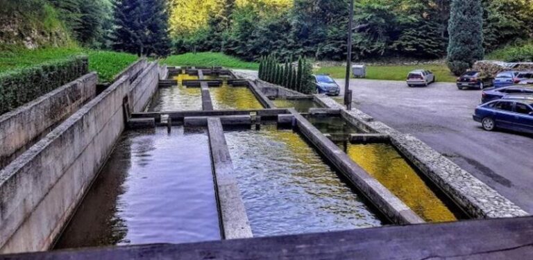 Ribnjaci se dave u problemima