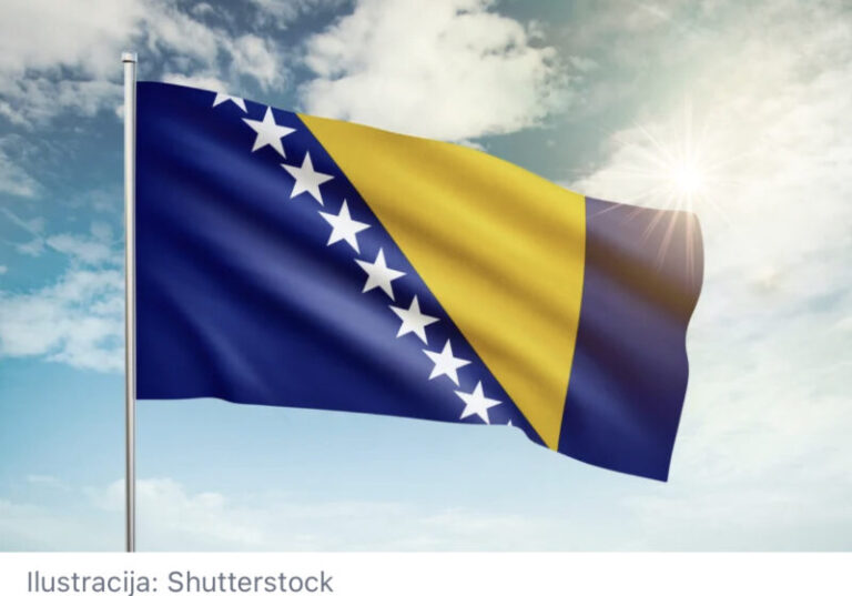 Bh. dijaspora poručila Schmidtu: Kapitulirate pred malom grupom nacionalista