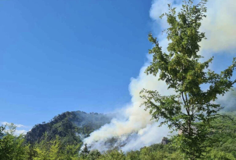 Divlja požar kod Boračkog jezera, vatra zahvatila borovu šumu (VIDEO)