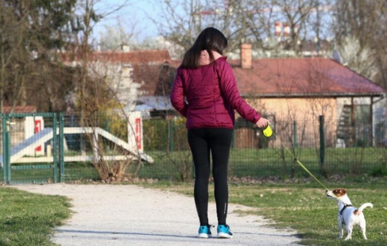 Uhapšen napadač: Udario ženu šakom dok je šetala psa 
