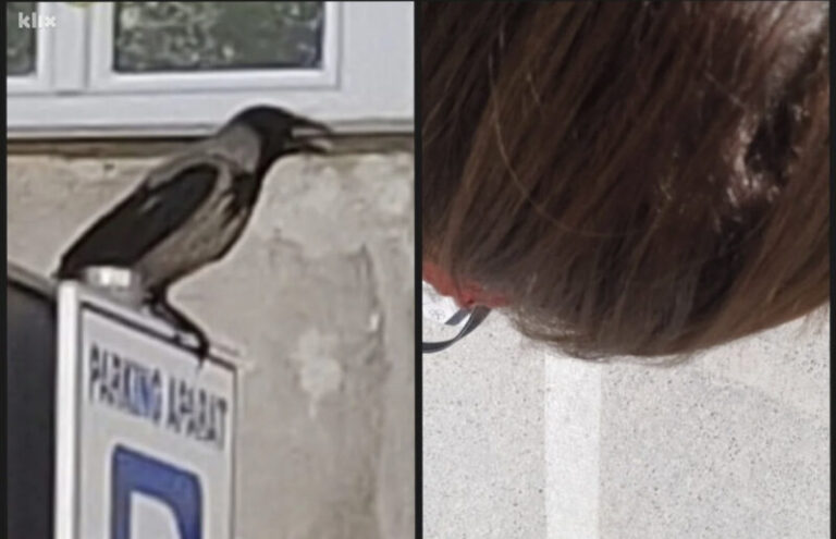 U centru grada vrana napadala građane