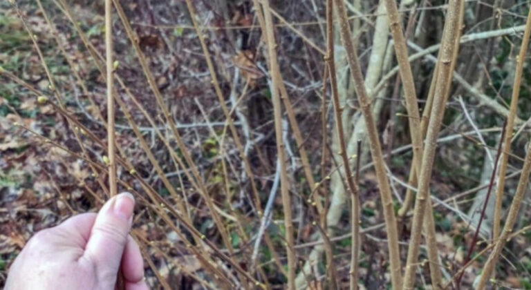 Uobičajene odgojne metode više “ne stanuju” u BiH: Otac prutom istukao dijete, pa dobio tri mjeseca zatvora