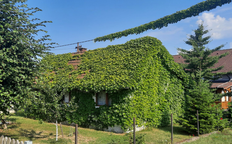 Pogledajte nevjerovatnu kuću u BiH: Saznali smo ko je vlasnica