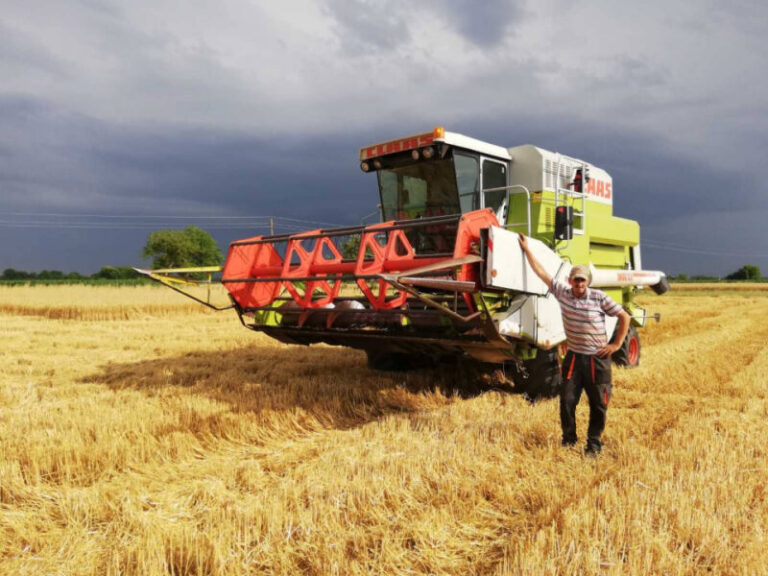 Emir Musli: Sa oko 50 hektara imali smo više od 300 tona ječma i pšenice