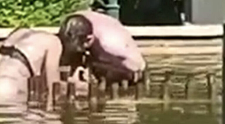 Pokušao da udavi ženu u fontani, spasili je prolaznici (VIDEO)