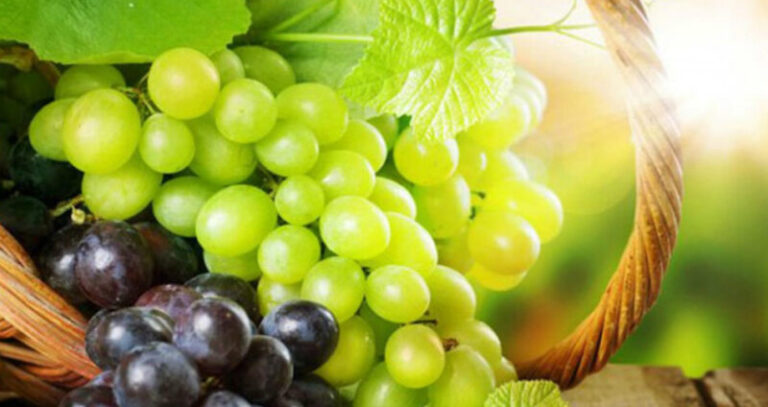 Crno ili bijelo grožđe: Znate li koje je bolje za vas?