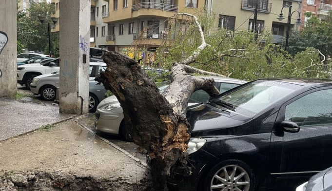 Jako nevrijeme : Poplavljene ulice, jak vjetar obarao drveće