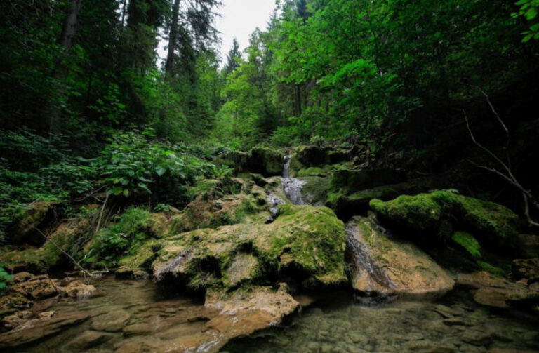 Izvor Miljacke skoro presušio, pogledajte fotografije