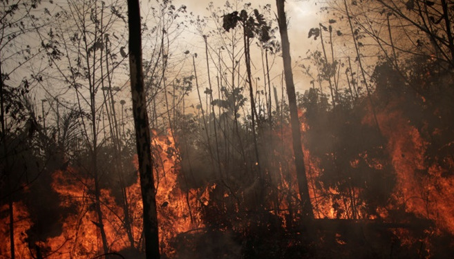 Gore pluća svijeta: U Amazoniji zabilježen dan s najviše šumskih požara u zadnjih 15 godina