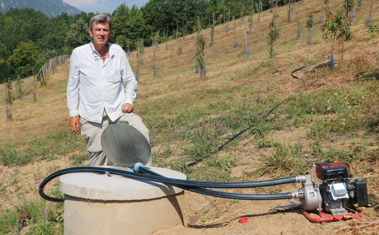 Adnan Rustanbegović ulaže novac u rodni kraj: Na površini od osam dunuma zasadio 1.000 stabala kruške