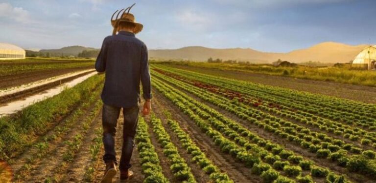 Poljoprivrednici apeluju: Proglasite stanje elementarne nepogode i nadoknadite nam štete