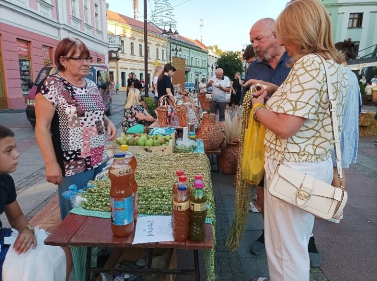 Brčaci najveći proizvođači bamije na Balkanu: Ne stižu nanizati koliko se traži
