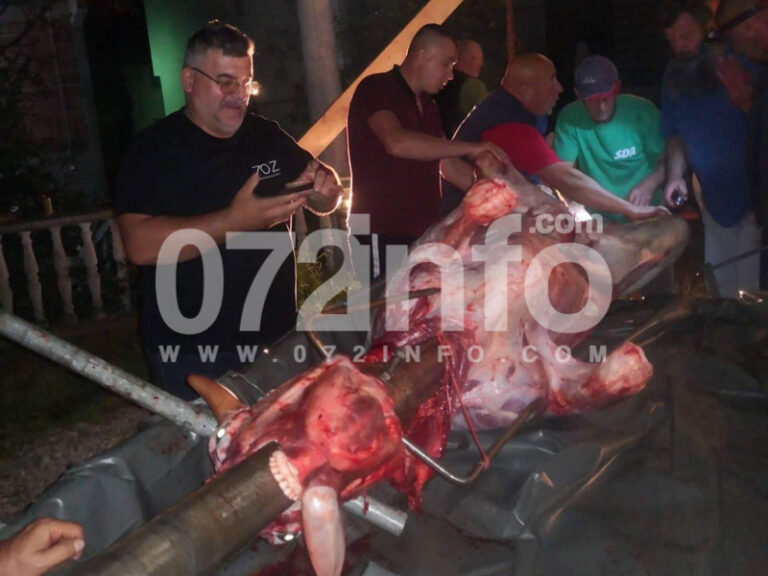 ŠERIĆI KOD ZENICE: U čast dolaska Izetbegovića okrenuli bika u dvorištu džamije (FOTO/VIDEO)