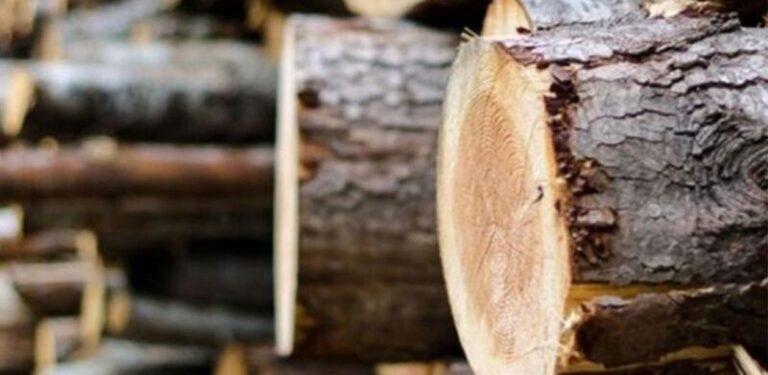 STARINA: Zeničanin ukrao četiri kubika drva