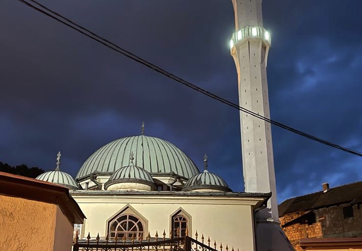 Prizor nikoga ne ostavlja ravnodušnim: Svake večeri u dvorište džamije u Zenici dolazi… (FOTO)