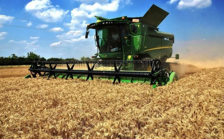 Proizvodnja kukuruza i pšenice u Srbiji sve manja