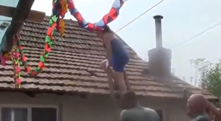 Kuma se zbog običaja popela na krov i napravila haos