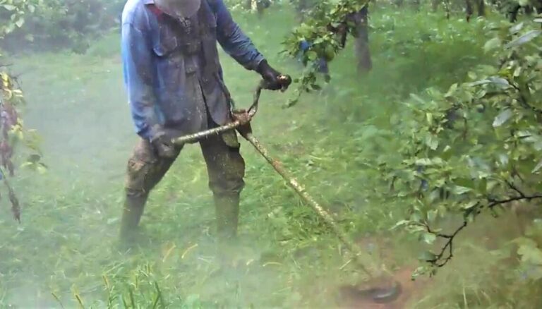 Oko ponoći turirao trimerom pod majčinim prozorom: Kurvo jedna, je… se sa svima okolo