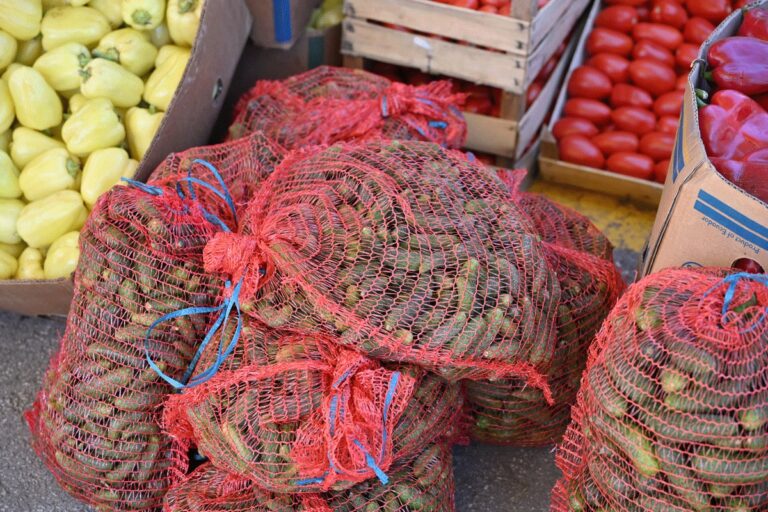 Manjak radnika i suša prepolovili izvoz kornišona iz BiH