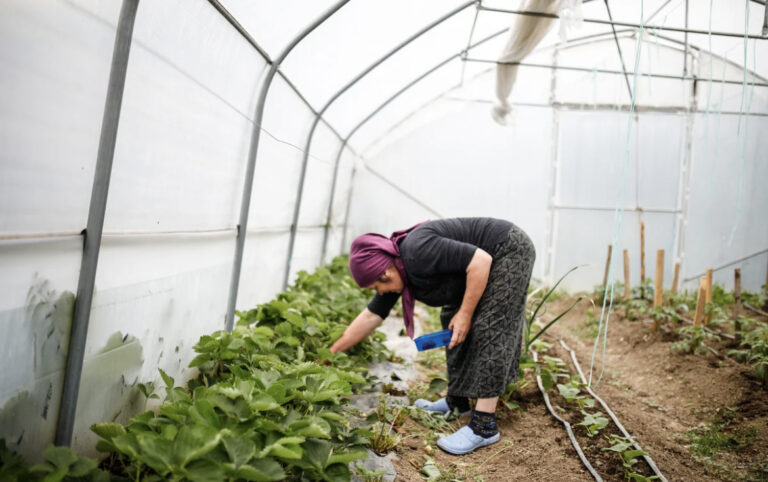 Enisa i Vernesa svoj život posvećuju seoskim poslovima, stres življenja u gradu ne žele nikom 