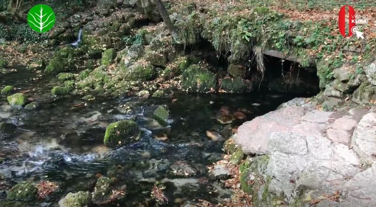 Istinski dragulj naše zemlje, “raj za ptice” u krošnjama Crne johe, Velika Aleja, Stojčevac i Rimski most koji nisu sagradili Rimljani: Ovo je priča o Vrelu Bosne…