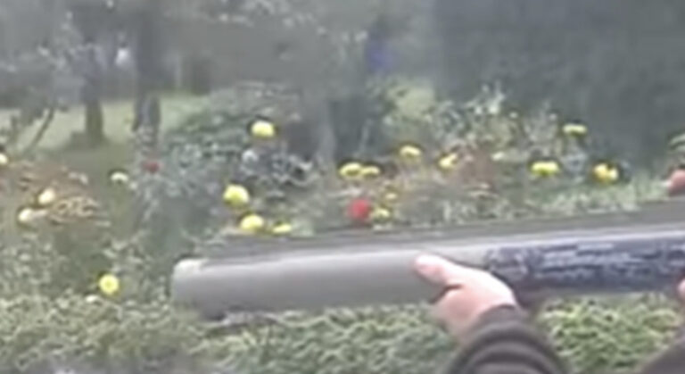 Tinejdžer uperio zolju prema policajcima