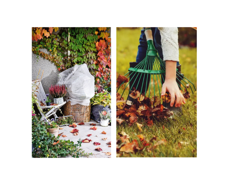 Zavrnite rukave: Trikovi koji će vam pomoći u čišćenju dvorišta ove jeseni