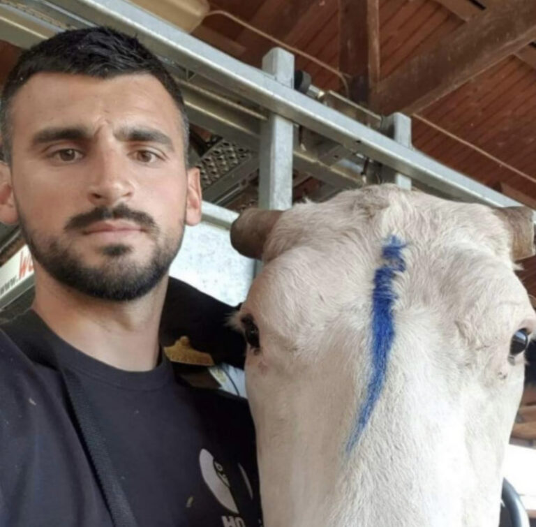 Neobično zanimanje: Predrag Belenzada obrađuje papke goveda, “ovaj posao moraš voljeti”