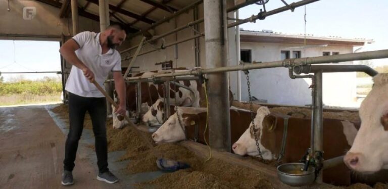 NIGDJE KAO U LIJEPOJ BIH: Vratio se iz Austrije i otvorio farmu krava