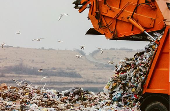 Borbu za čistu sredinu sprečavaju politički demagozi: Deponije i nelegalna odlagališta smeća veliki su problem za našu zemlju