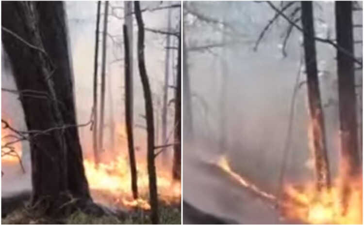 Veliki požar u BiH, situacija je alarmantna