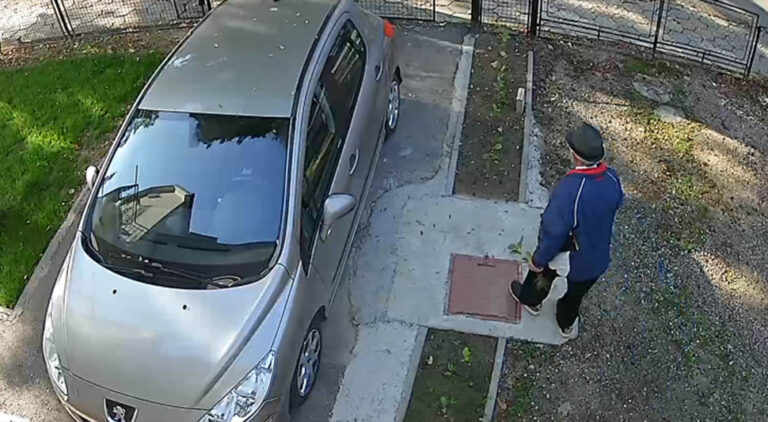 Neobična krađa u BiH: Ušao u dvorište i uzeo sadnice