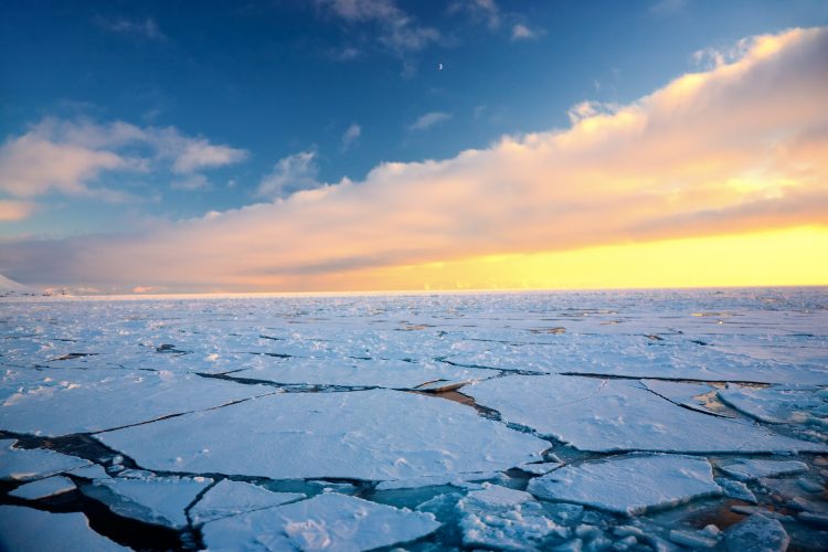 Arktik bi uskoro mogao izazvati sljedeću pandemiju: Naučnici objasnili zašto