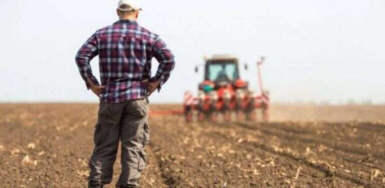 Ratari spas našli u sjemenu “sa tavana”