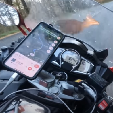 Pogledajte kako je motociklista udario jelena pri brzini od blizu 90 km/h