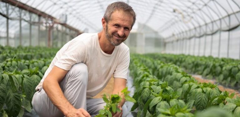 Senad Omerović, nekadašnji zvornički taksista i elektrotehničar, danas proizvodi organsko povrće