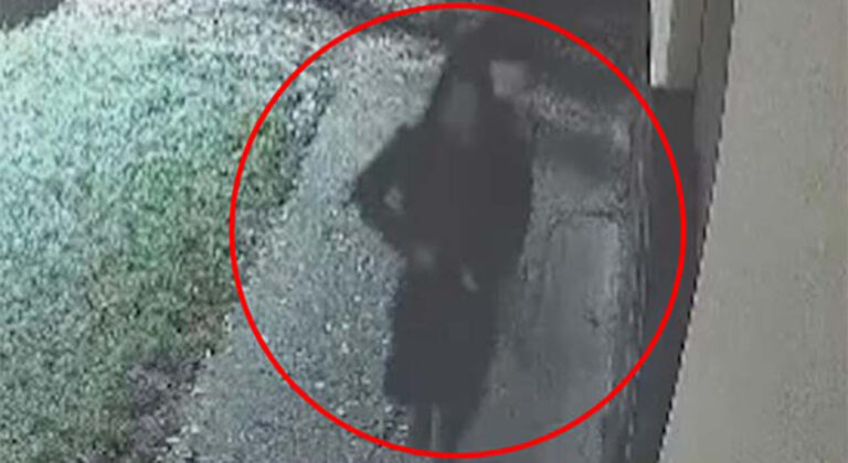 Hodali ulicama i pucali, pronađen izrešetan migrant