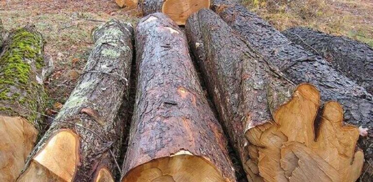 Kakanj: Neko ukrao dva metra drva