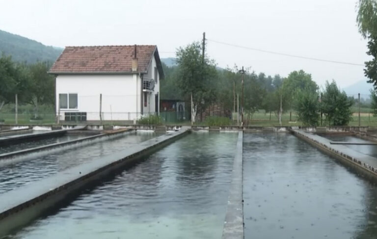 Pogledajte gdje danas živi Damir iz serije “Lud, zbunjen, normalan”