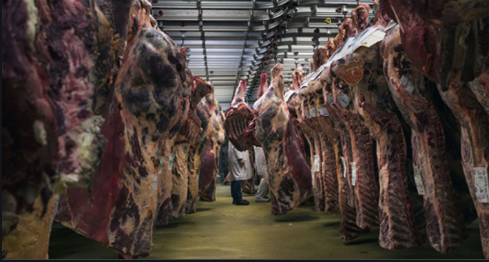 Evropskoj komisiji dostavljen dopunjen akcioni plan za izvoz crvenog mesa u EU