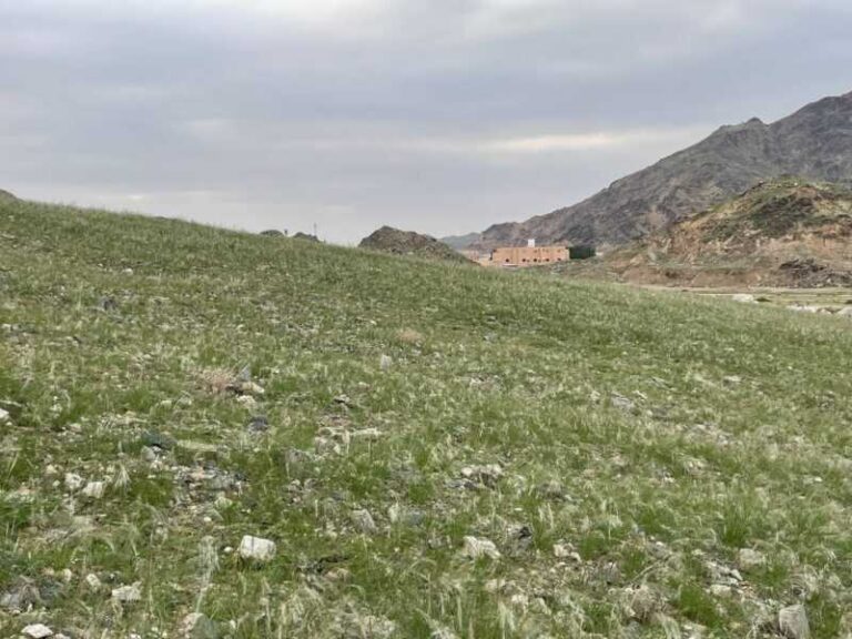 Ovo nije BiH, ovo je Mekka u Saudijskoj Arabiji