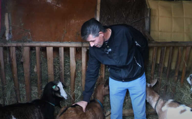 Edhem iz Bugojna: Pomiluješ kozu dva puta i ne trebaš apaurin