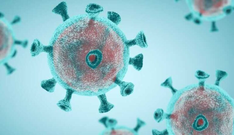 Kraken stigao u Hrvatsku