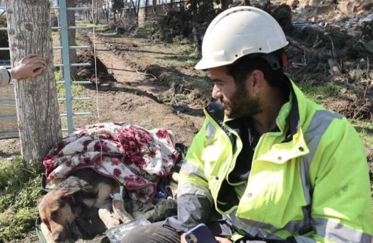 Volonteri spasili psa iz ruševine 55 sati nakon zemljotresa