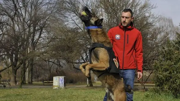 Atos, pas tragač, bio je najveća pomoć članovima bh. tima tokom spasilačke misije u Turskoj