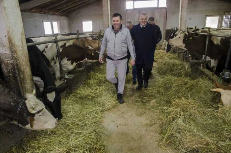 Ministar Marić posjetio farmere u Visokom: Radi se o vrlo vrijednim farmerima koji proizvode vrhunske mliječne artikle