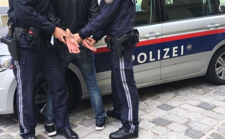 Mladić iz BiH ukrao kombi pa bježao njemačkoj patroli